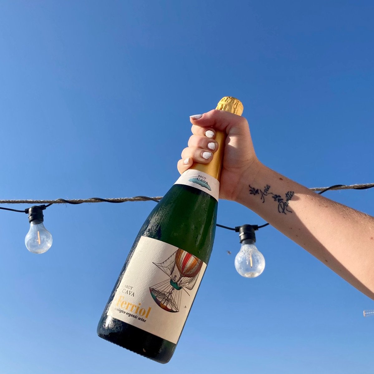 Ferriol Brut cava Reviews abillion