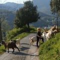 @katia1966 profile image
