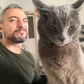 dariomanni @dariomanni profile image