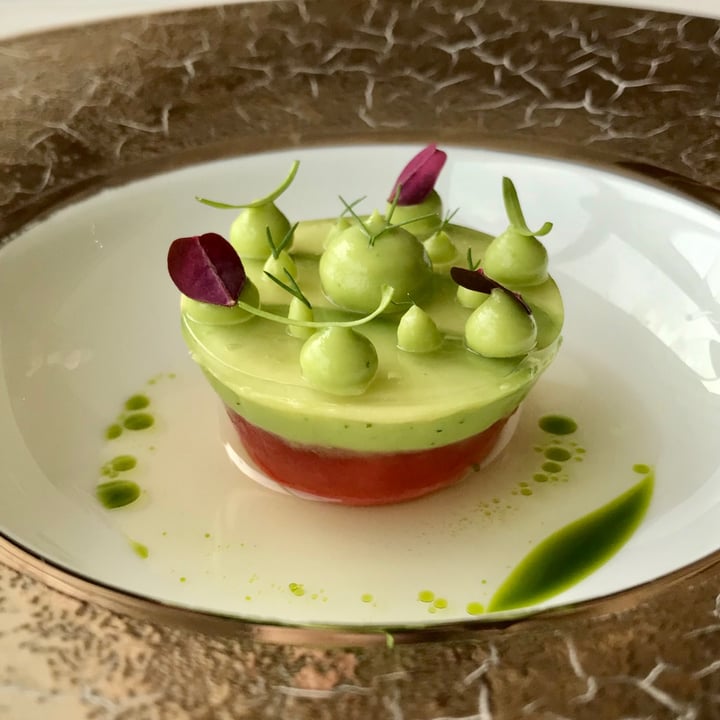 photo of Saint Pierre Tomato starter shared by @soosoo on  03 Apr 2021 - review