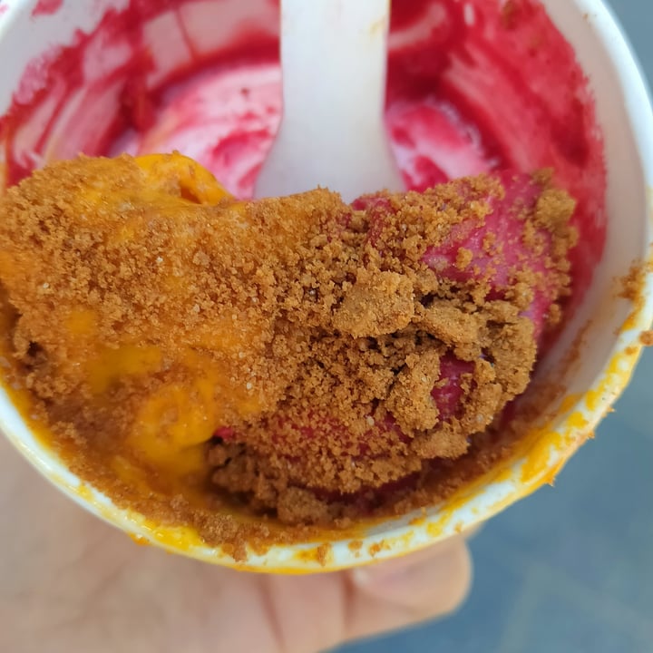 photo of Australian Home Made Ice Cream Brussels - Grand Place Sorbet shared by @nadioski on  01 Sep 2022 - review