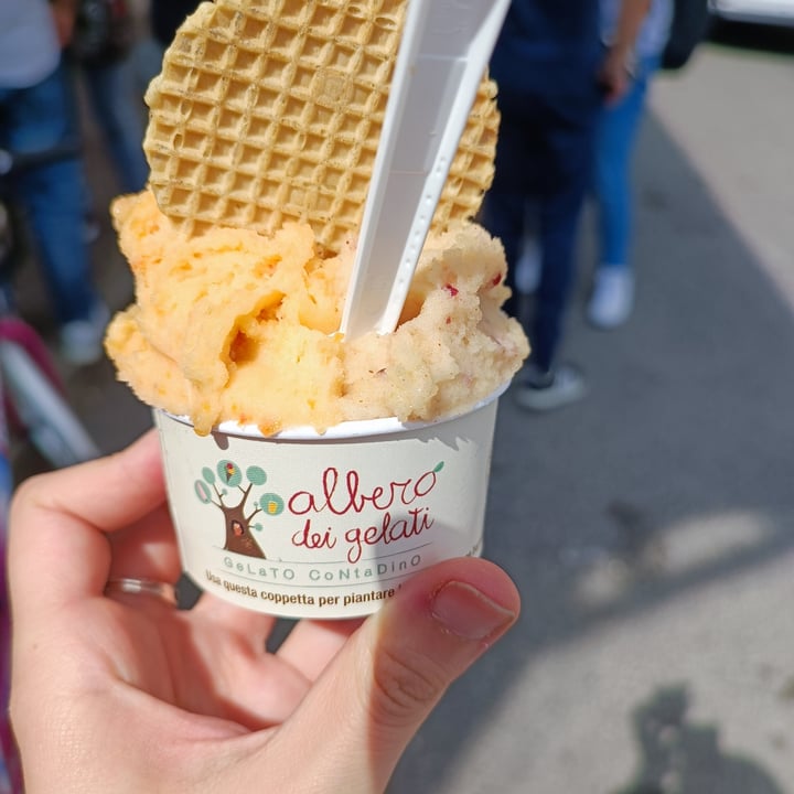 photo of L' Albero dei Gelati Ice Cream shared by @francescasantoro on  01 Jul 2022 - review