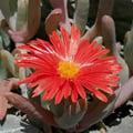 zonafranca99 @zonafranca99 profile image
