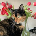 valevale84 @valevale84 profile image