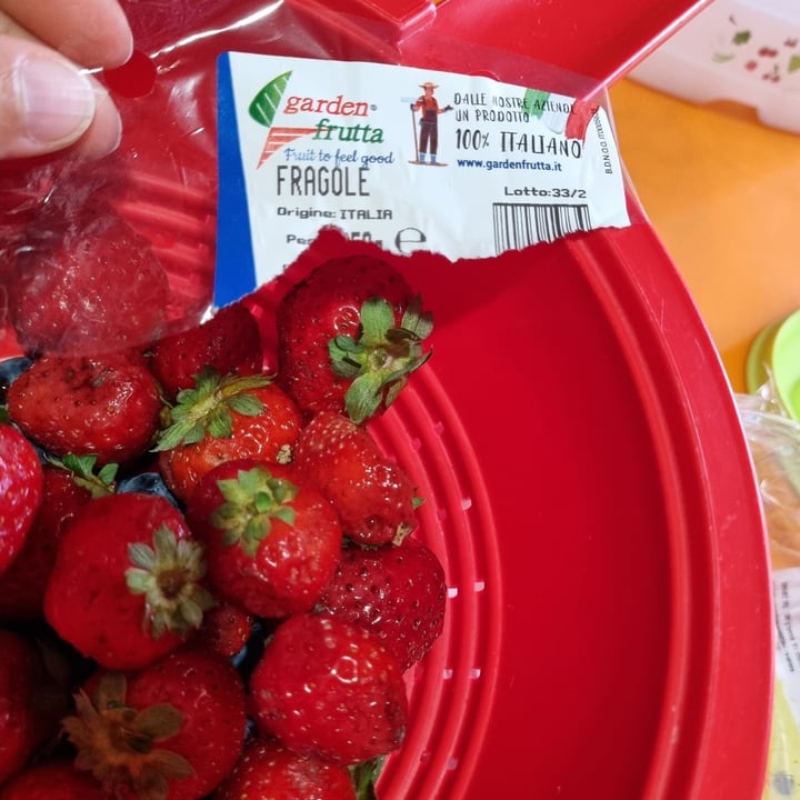 photo of Garden frutta Fragole shared by @francy82 on  20 Aug 2022 - review