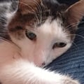 nohemy @nohemy profile image