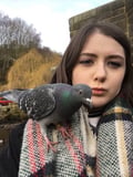 grachel @grachel profile image