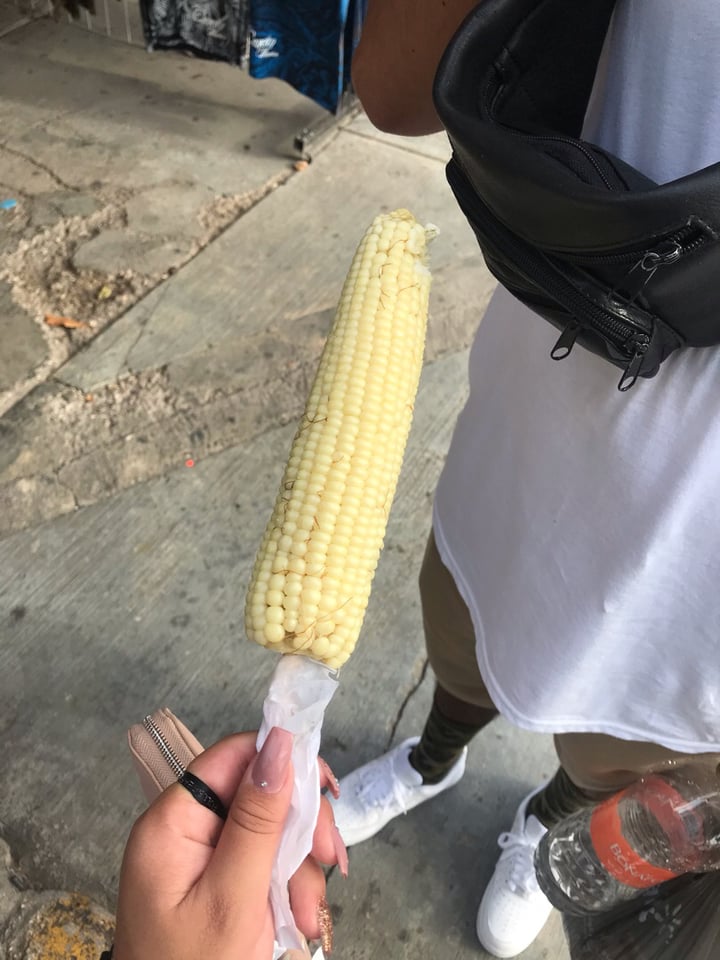 photo of Aura Vegana ELOTE shared by @bynxsty on  19 Aug 2019 - review