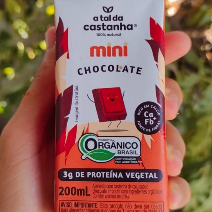 review photo of A Tal da Castanha Mini Chocolate shared by @otoalbuqvegan on 13 Sep 2021 - review
