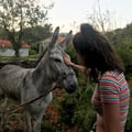 saradoval @saradoval profile image