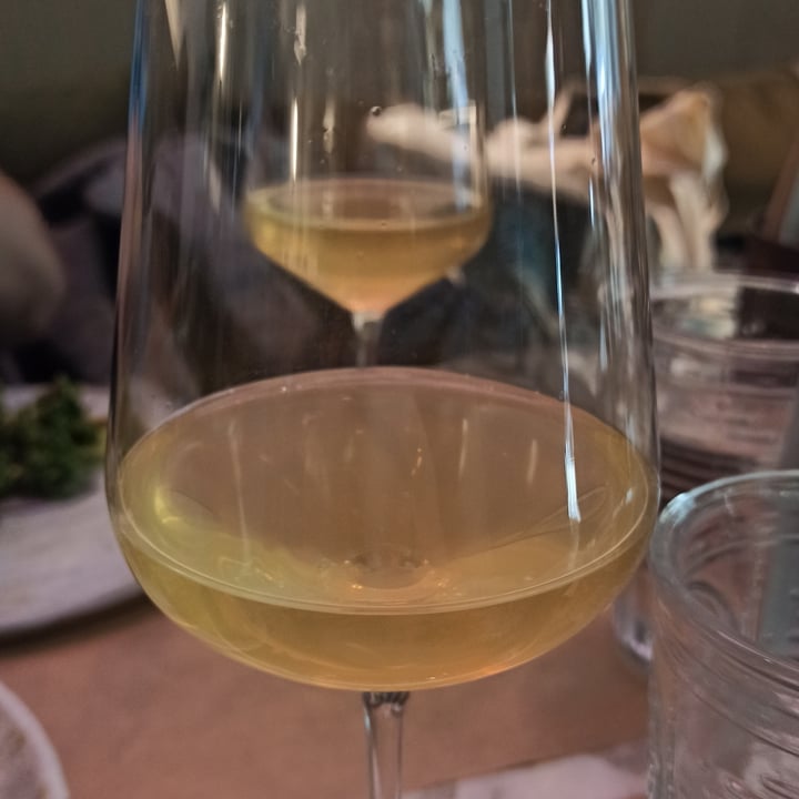 photo of Winners Vegan White wine shared by @annamiou on  10 Apr 2022 - review