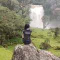 laurab84 @laurab84 profile image