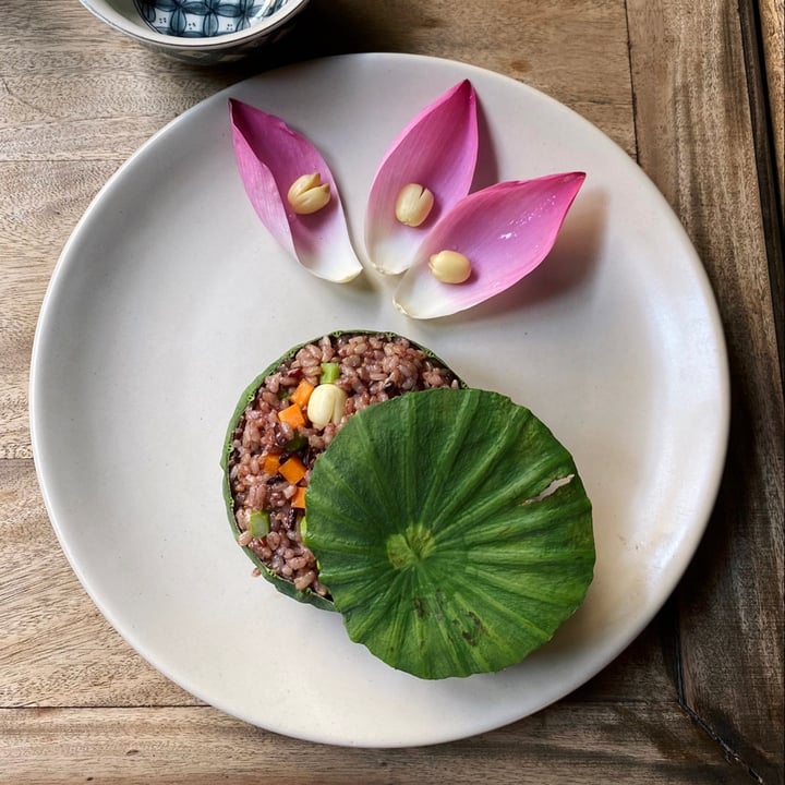 photo of Hum Vegetarian, Garden & Restaurant Lotus Fried Rice shared by @trangdang on  15 Jan 2020 - review