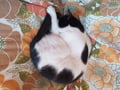 coeurroux @coeurroux profile image