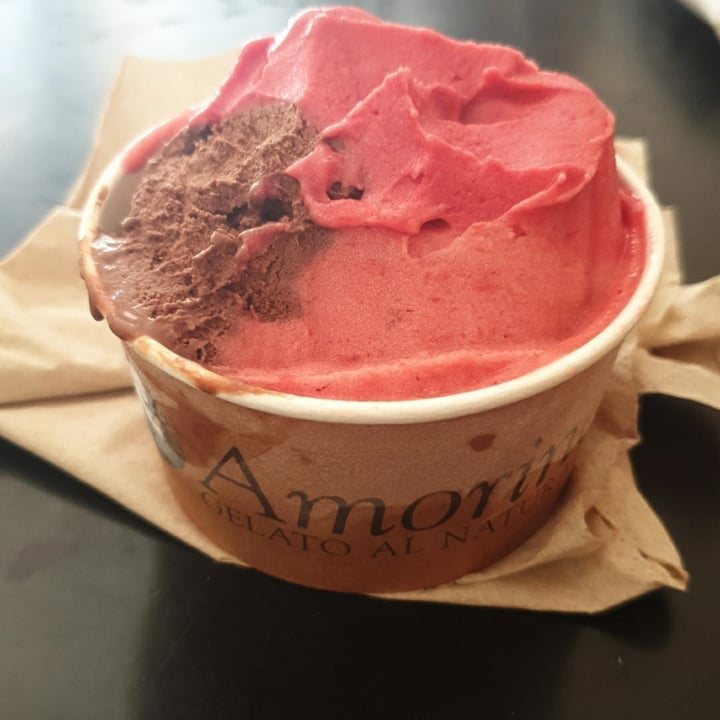 review photo of Amorino Baixa Vegan gelato shared by @apconceicao on 06 Aug 2020 - review