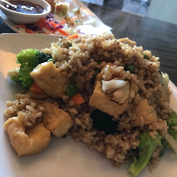 review photo of Bodhi Kosher Thai Stir Fry shared by @govegan161616 on 24 Apr 2020 - review