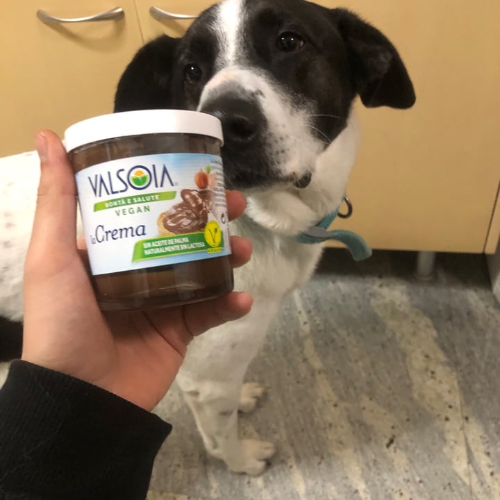 review photo of Valsoia La Crema shared by @oskar1995 on 30 Dec 2020 - review