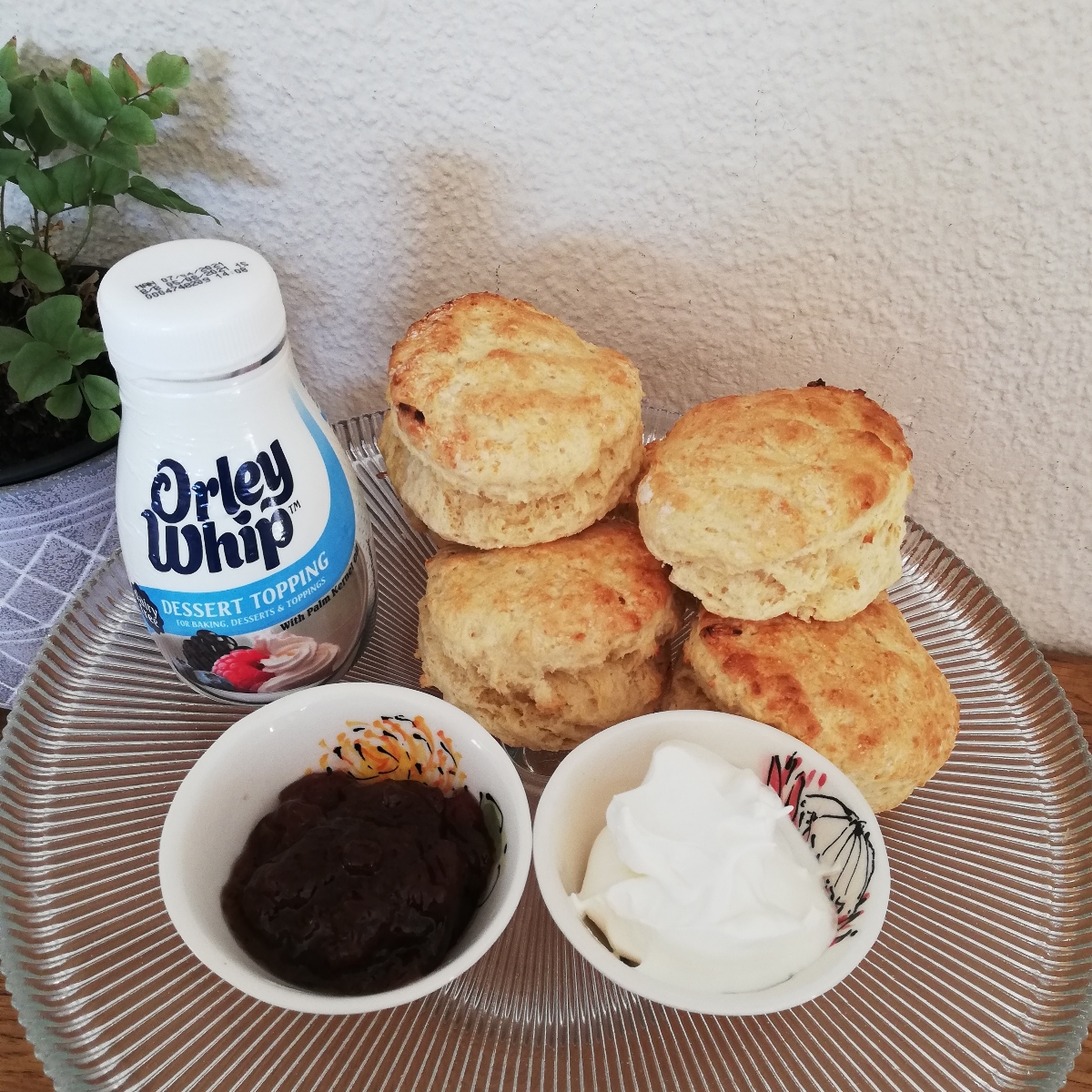 Orley Whip DairyFree Cream Dessert Topping Reviews abillion