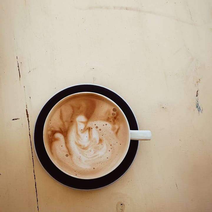 review photo of Plant - Camps bay Cappuccino shared by @lizette on 15 Aug 2021 - review