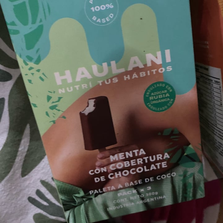 photo of Haulani Paleta De Menta Con Cobertura De Chocolate shared by @luchiesti96 on  30 Dec 2021 - review