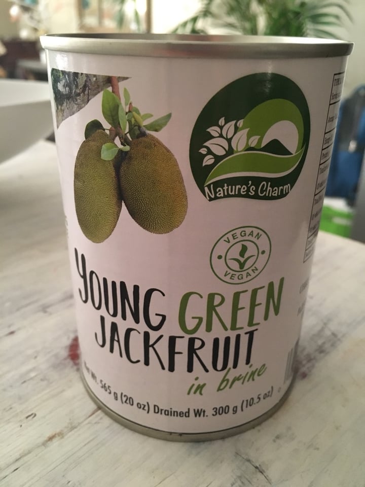 review photo of Nature's Charm Young Green Jackfruit in Brine shared by @bonapetaste on 04 Jan 2020 - review