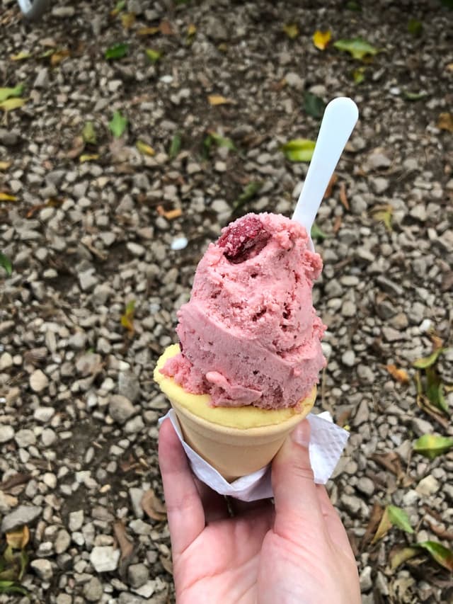 Photo of the dish “Helado de maracuyá+kiwi y frutilla”