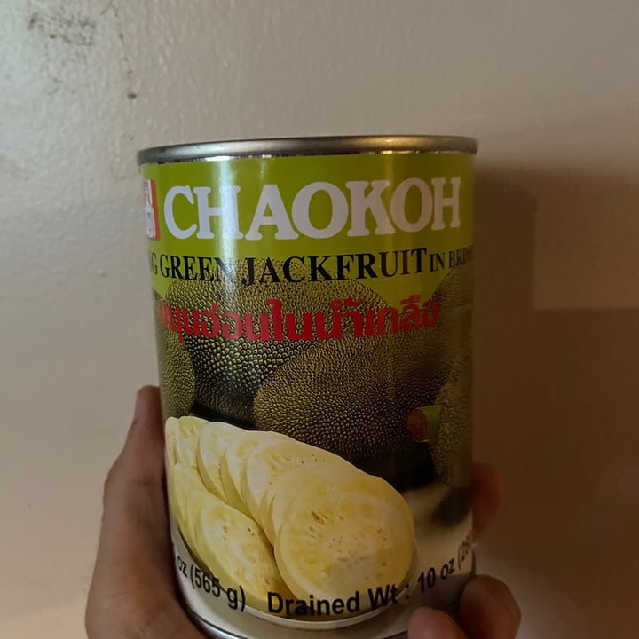 photo of Chaokoh young green jackfruit shared by @miaomiao9991 on  11 Aug 2020 - review