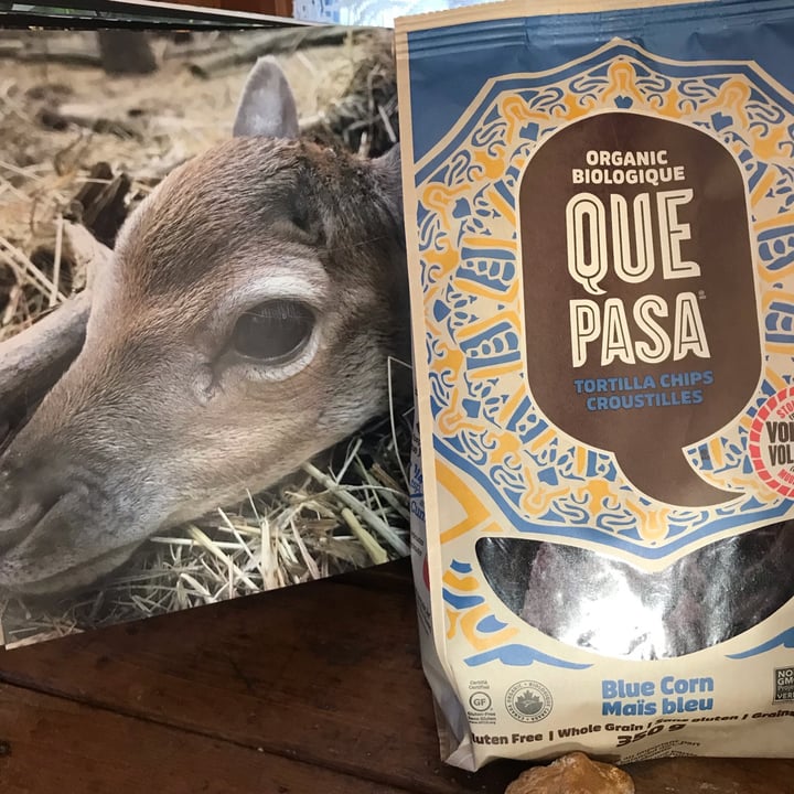 photo of Que Pasa Organic Blue Corn Chips shared by @maryanarch on  08 Feb 2022 - review