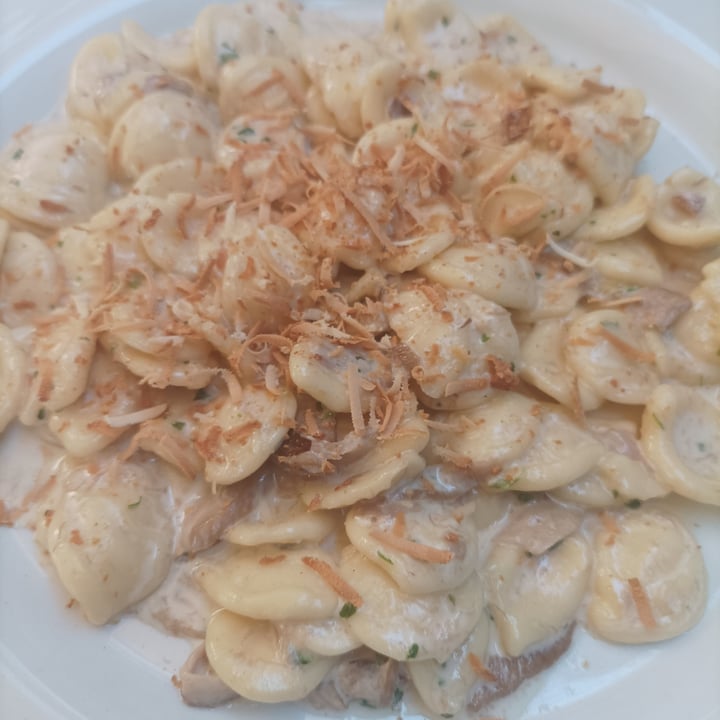 photo of Locanda Zanella orecchiette ai funghi e seitan affumicato shared by @chiarasegato on  21 Jul 2022 - review