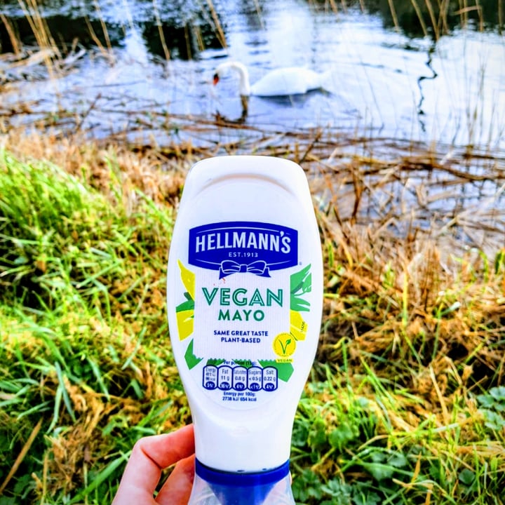 photo of Hellmann’s Hellman’s Vegan Mayonnaise shared by @solajem on  17 Feb 2021 - review
