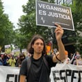 lucasalorenzi @lucasalorenzi profile image