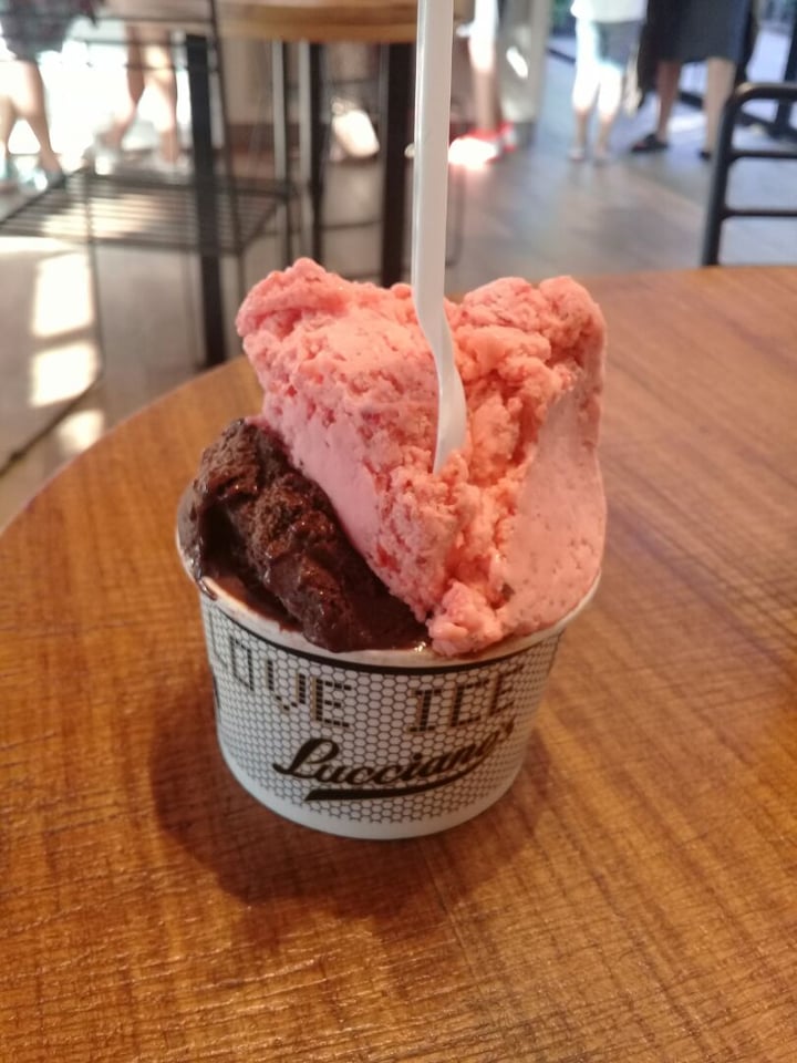 photo of Lucciano's Helado Dark 72% Y Frutales shared by @martbass on  06 Mar 2020 - review