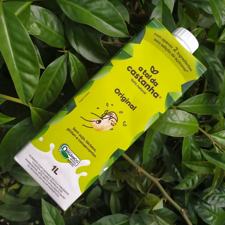 review photo of A Tal da Castanha Leite de castanha de caju shared by @ricardogreggo on 01 Aug 2021 - review