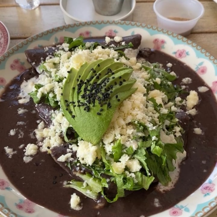 review photo of Verde Amor zona esmeralda Enfrijoladas veganas shared by @michdmz on 04 Aug 2021 - review