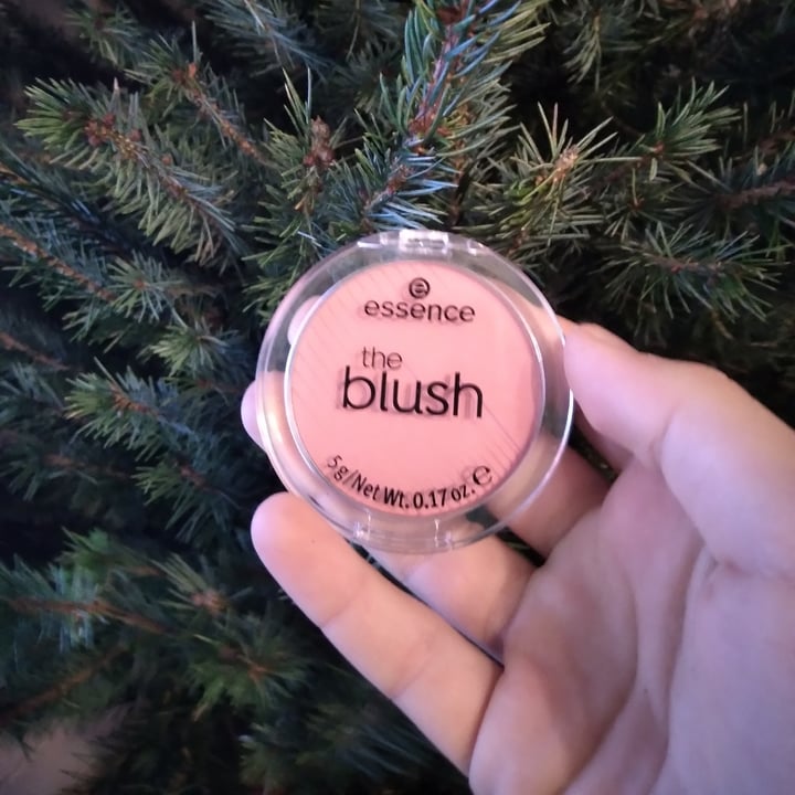 photo of Essence  Blush shared by @gaianimals on  08 Dec 2022 - review