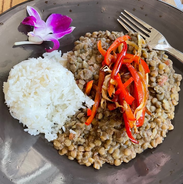 photo of Ayawaska RestoBar Veggie Lentils shared by @pbcoach on  12 Jun 2021 - review