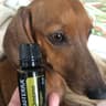 dōTERRA