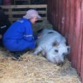beckyisvegan @beckyisvegan profile image