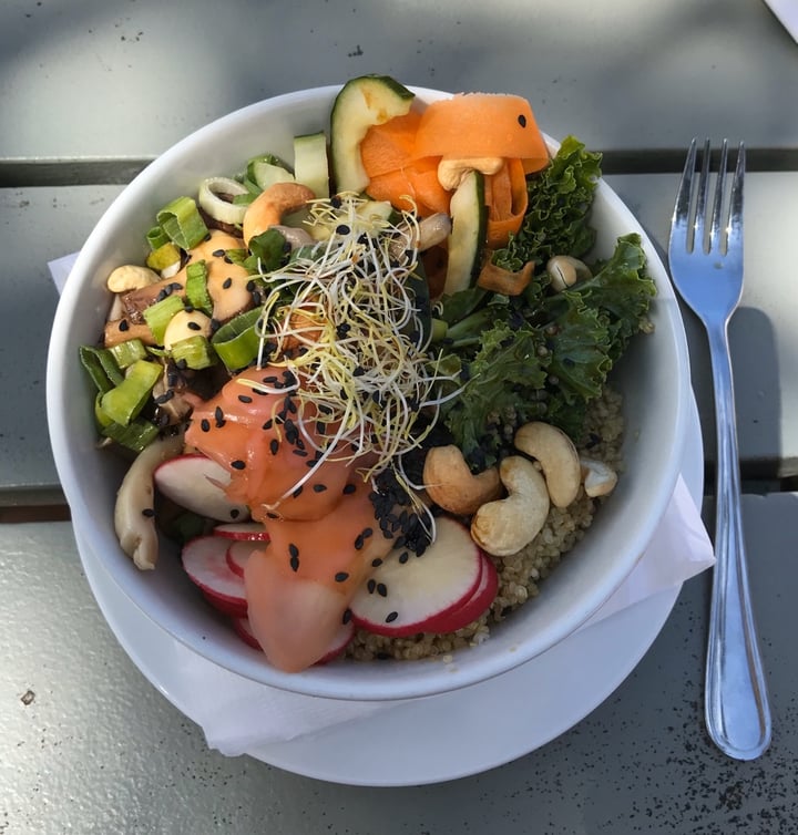 photo of Cafe Roux - Noordhoek Buddha Bowl shared by @chuckyeager on  05 Mar 2020 - review