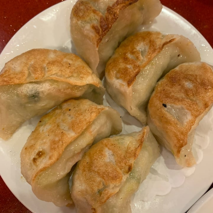 photo of Bodhi Kosher Vegetarian Restaurant Pan fried dumplings shared by @kimmartin on  12 May 2022 - review