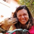 paolasobbrio @paolasobbrio profile image