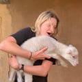 alicesouthwood @alicesouthwood profile image