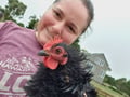 sandralhmb @sandralhmb profile image