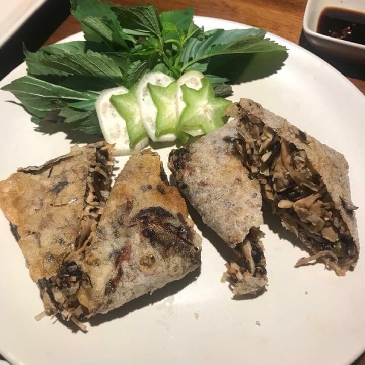 photo of Hum Vegetarian, Lounge & Restaurant Squared Deep Fried Spring Rolls shared by @gac-veganfoodreview on  13 May 2021 - review