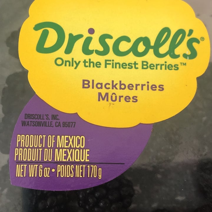 photo of Driscoll’s Blackberries shared by @lovespigs on  02 Jul 2022 - review