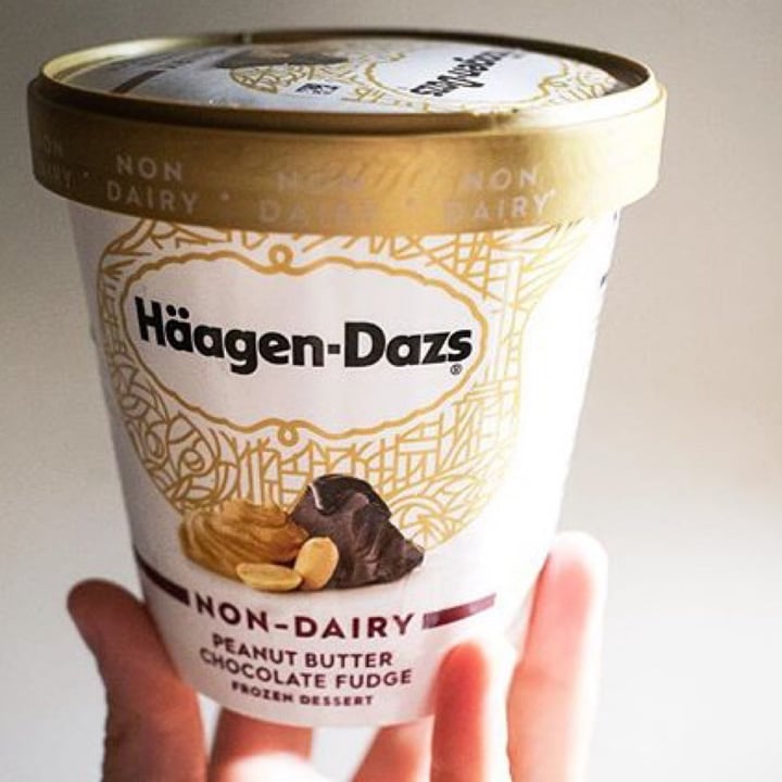 photo of Häagen-Dazs Peanut Butter Chocolate Fudge Non-Dairy shared by @drhemp on  02 May 2020 - review