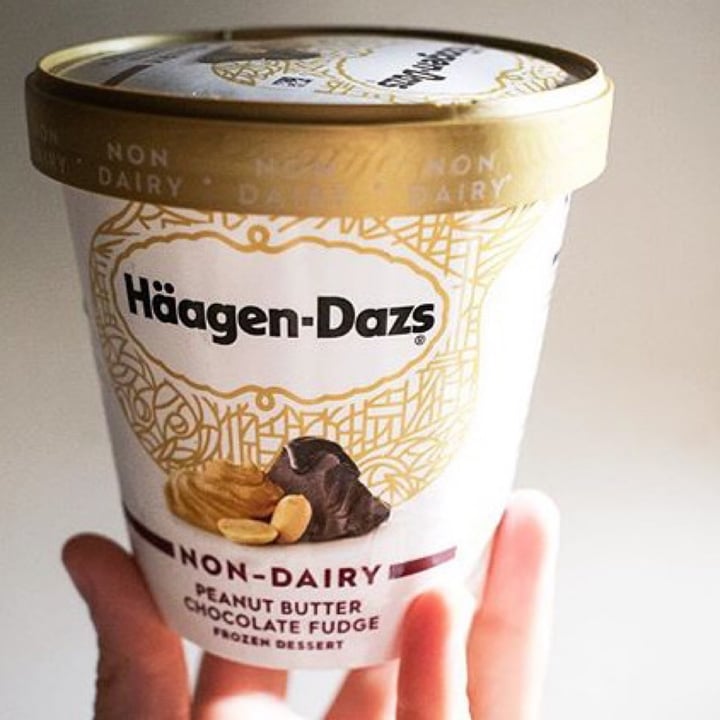 review photo of Häagen-Dazs Peanut Butter Chocolate Fudge Non-Dairy shared by @drhemp on 02 May 2020 - review