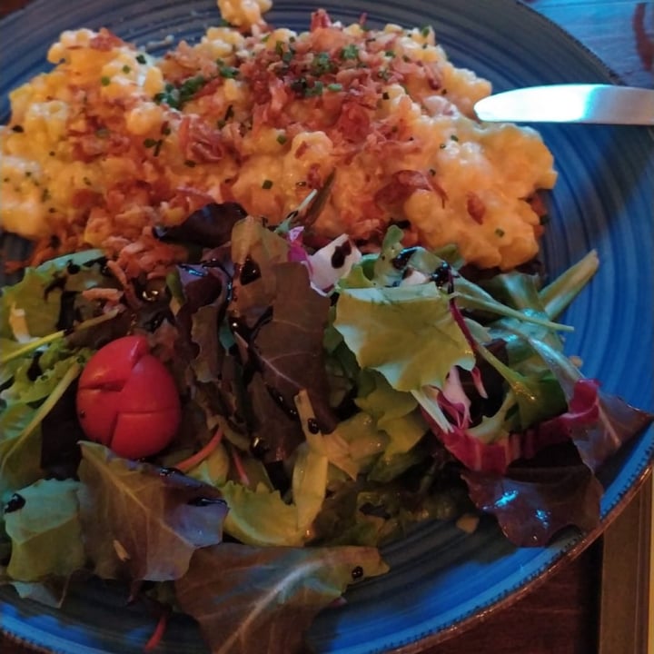 review photo of Harvest Café-Bistrot Kasnockerl shared by @viktorvegan on 23 Jul 2021 - review