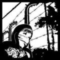 stephii @stephii profile image
