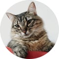anacasillas @anacasillas profile image